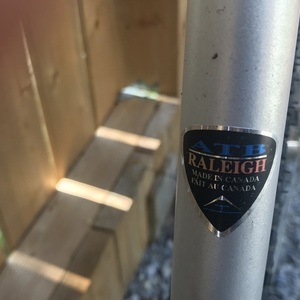 Raleigh Sentinel Silver, gray or bare metal
