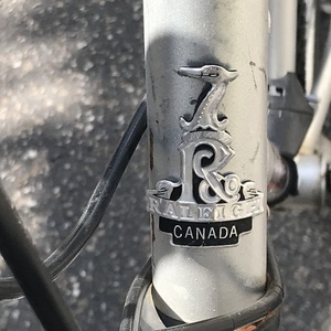 Raleigh Sentinel Silver, gray or bare metal