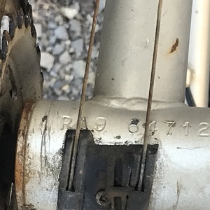 Raleigh Sentinel Silver, gray or bare metal
