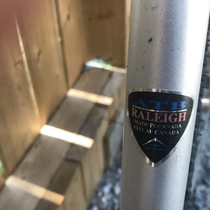 Raleigh Sentinel Silver, gray or bare metal