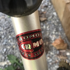 Raleigh Sentinel Silver, gray or bare metal