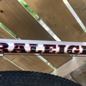Raleigh Sentinel Silver, gray or bare metal
