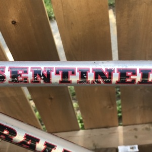 Raleigh Sentinel Silver, gray or bare metal