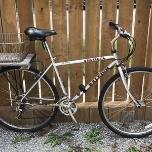 Raleigh Sentinel Silver, gray or bare metal