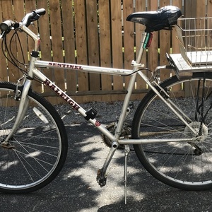 Raleigh Sentinel Silver, gray or bare metal
