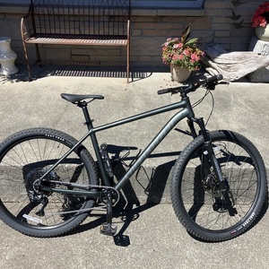 2024 Specialized Rockhopper Comp Green