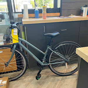 2021 Raleigh Detour Silver, gray or bare metal