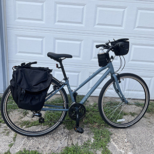 2021 Raleigh Detour Silver, gray or bare metal