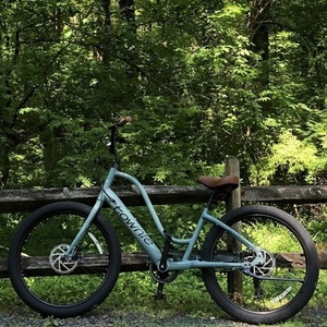 Electra Townie Teal and Green