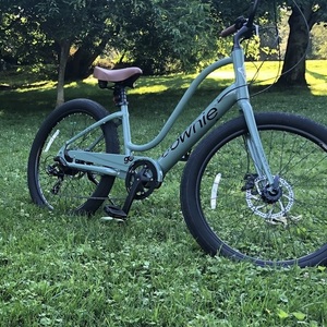 Electra Townie Teal and Green