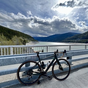 2016 Specialized Diverge Green