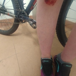 2024 Ibis DV9 Black and Orange