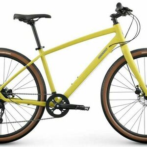 2018 Raleigh Yellow or Gold