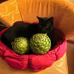 2014 Salsa Vaya 2 Blue