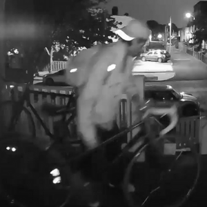 2018 State Bicycle Co. 4130 Core-Line / Bullhorn Bars / "Lo-... Black