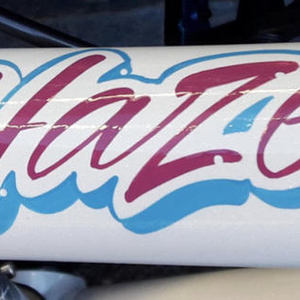 2016 Trek Neko White