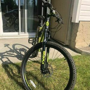 Diamondback Expresso Green