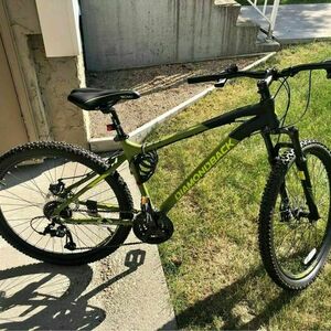 Diamondback Expresso Green