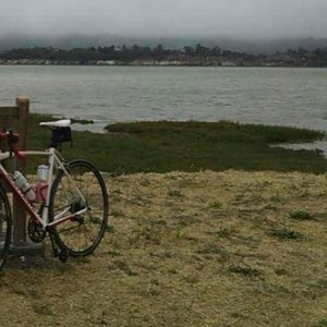 2014 Scattante R680 White and Red