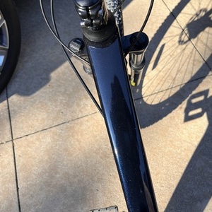 2024 Cannondale Blue