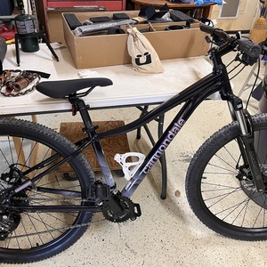 2024 Cannondale Blue