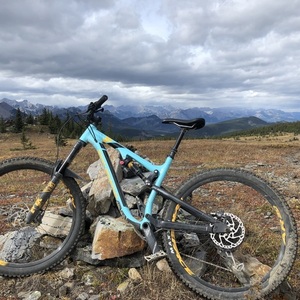 2019 Rocky Mountain Bicycles Altitude Blue