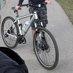 Iron Horse Bikes Iron horse Silver, gray or bare metal