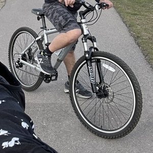 Iron Horse Bikes Iron horse Silver, gray or bare metal