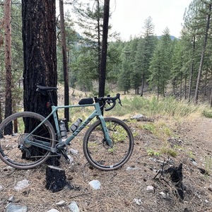 2022 Canyon bicycles Grizl CF SL 7 eTap Green