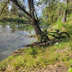 2024 Subrosa Black