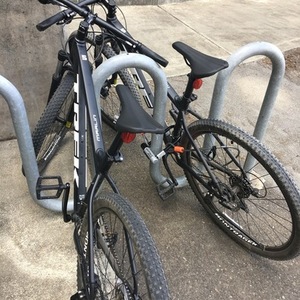 2024 Trek Marlin 5 Gen 3 Black