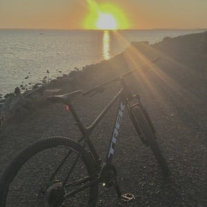 2024 Trek Marlin 5 Gen 3 Black