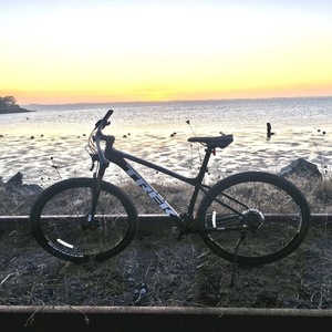 2024 Trek Marlin 5 Gen 3 Black