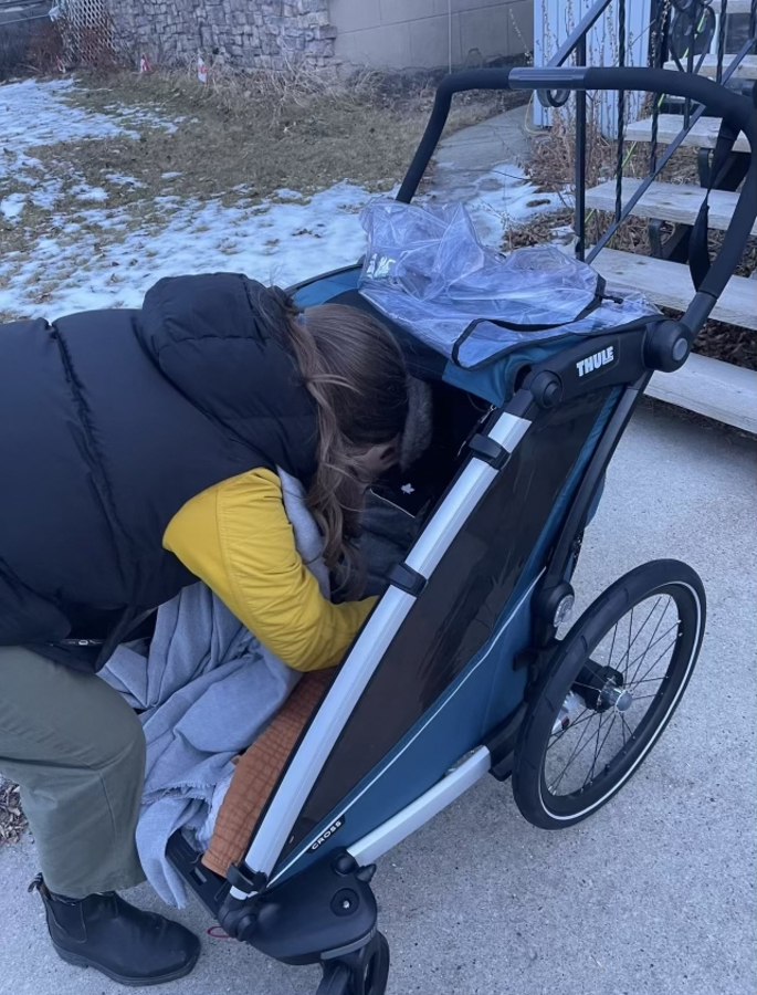 Bike Trailer photo
