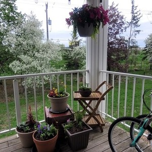 Nishiki Women's Tamarack Comfort Bike Teal
