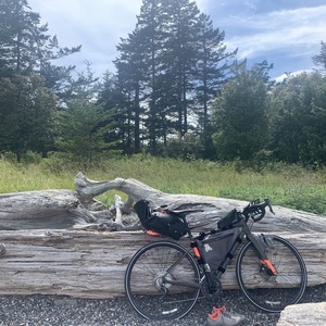 2019 Specialized Diverge Green