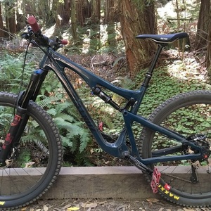 Santa Cruz 5010 Teal