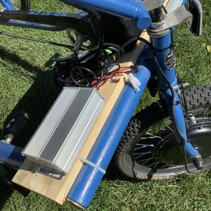 Worksman Cycles Team Dual, Blue