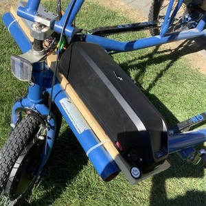 Worksman Cycles Team Dual, Blue