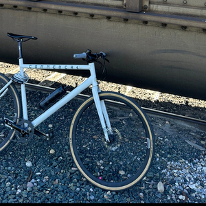 2020 Commencal Bikes Fcb Yellow or Gold