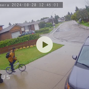 Total BMX Haro leukadia White, Black, and Blue