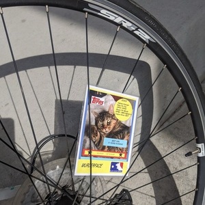 LeMond Avail 3 White, Blue, and Green