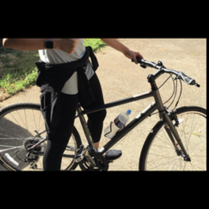 2016 Trek 7.2 fx wsd Silver, gray or bare metal