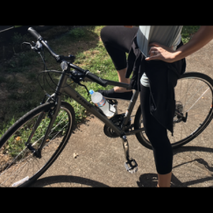 2016 Trek 7.2 fx wsd Silver, gray or bare metal