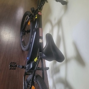 Isinwheel M10 tandem Black