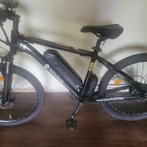 Isinwheel M10 tandem Black