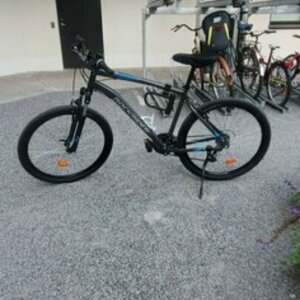 2022 Decathlon Bmx Silver, gray or bare metal