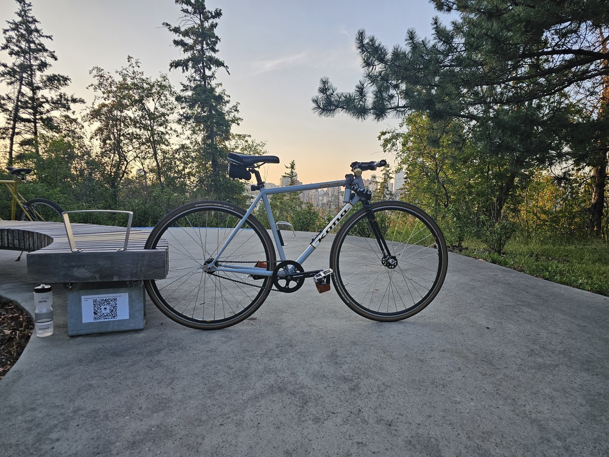2008 Kona Paddy Wagon