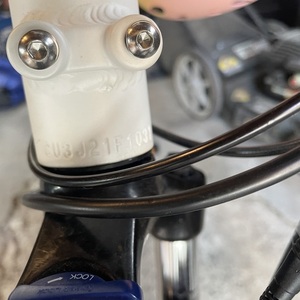 2022 Rad Power Bikes RadCity Step Thru White