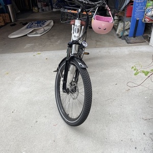 2022 Rad Power Bikes RadCity Step Thru White